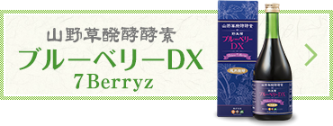 山野草醗酵酵素 ブルーベリーDX ７Berryz