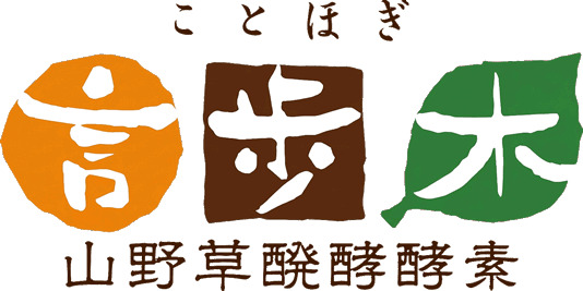 わたしの毎日ビフィズス菌 ビフィずっと
