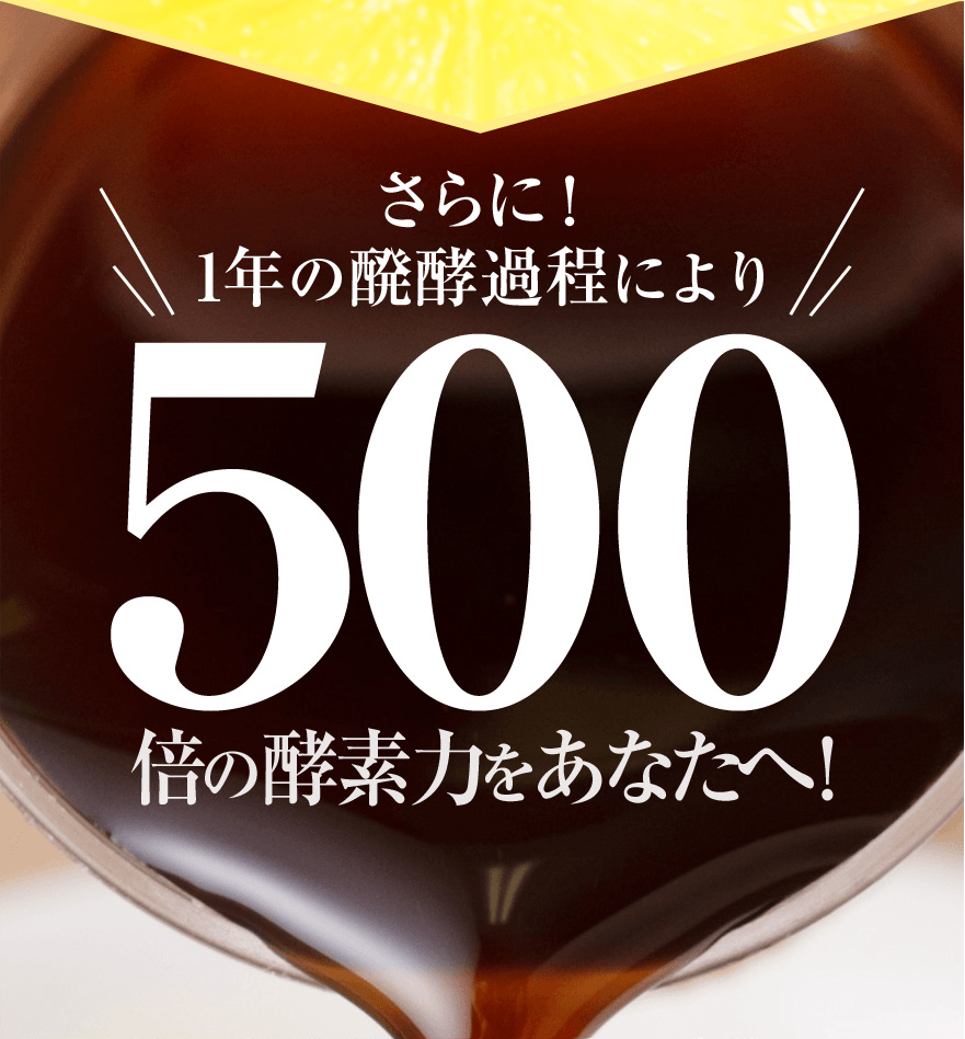 柘榴da檸檬(ザクロダレモン)言歩木 - xplast.com.py