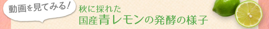 秋に採れた国産青レモンの醗酵の様子の動画を見てみる