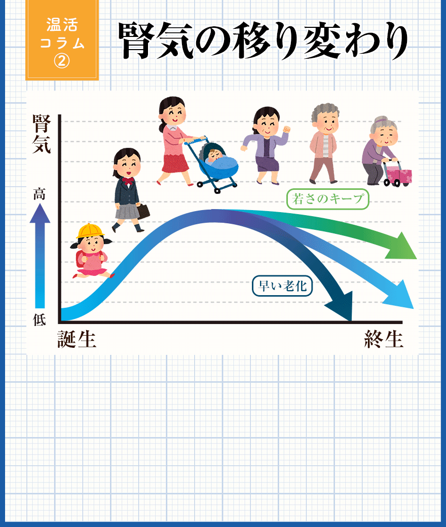 温活コラム2 腎気の移り変わり