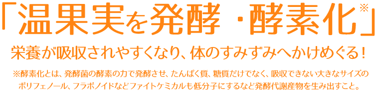 「温果実を発酵・酵素化」