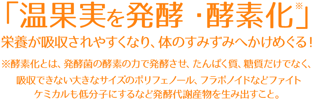「温果実を発酵・酵素化」