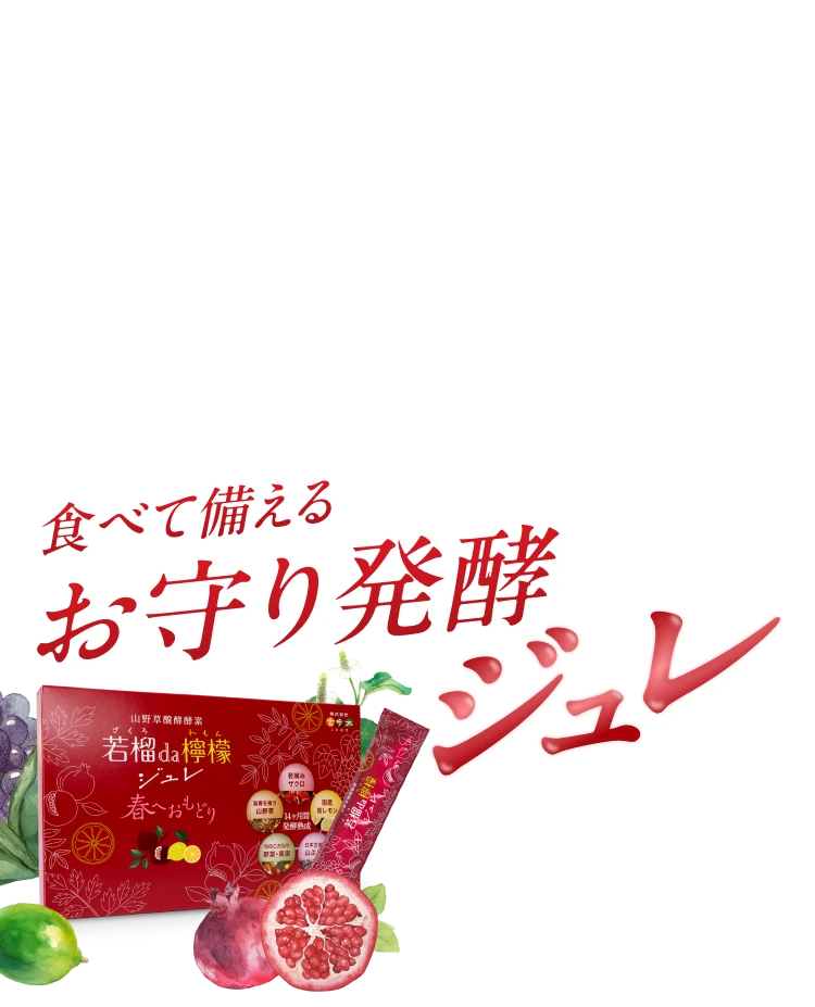 食べて備えるお守り発酵ジュレ