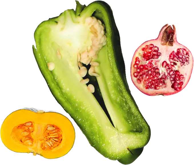 植物プラセンタ