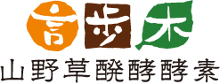 株式会社 言歩木