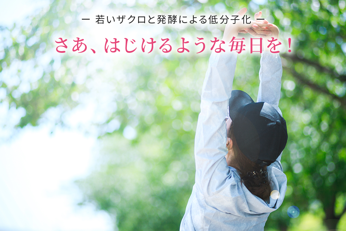 ヒントは若いザクロ と 発酵による低分子化