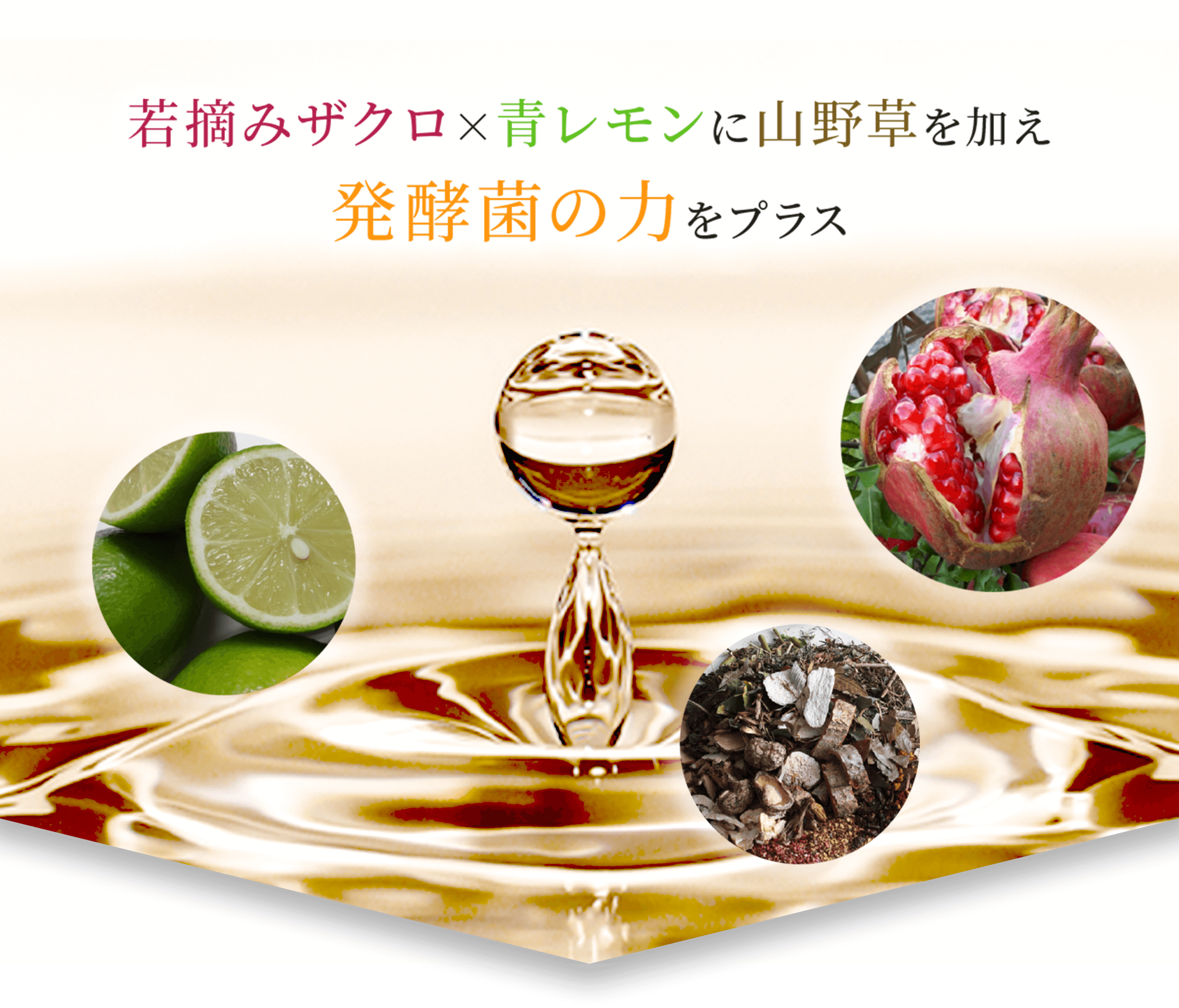 若摘みザクロ×青レモンに山野草を加え発酵菌の力をプラス