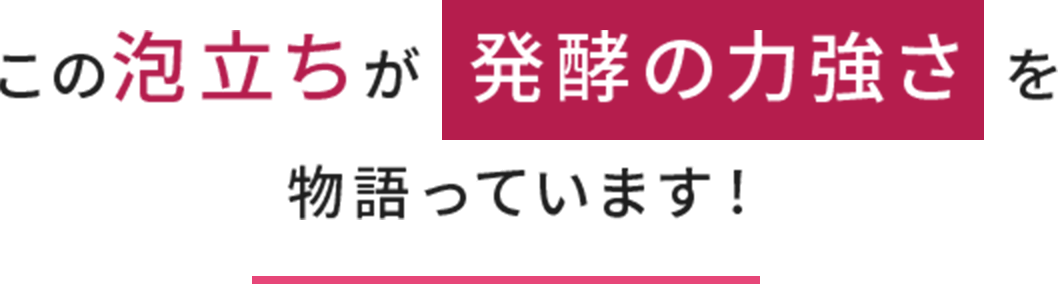 この泡立ちが「発酵の力強さ」を物語っています！