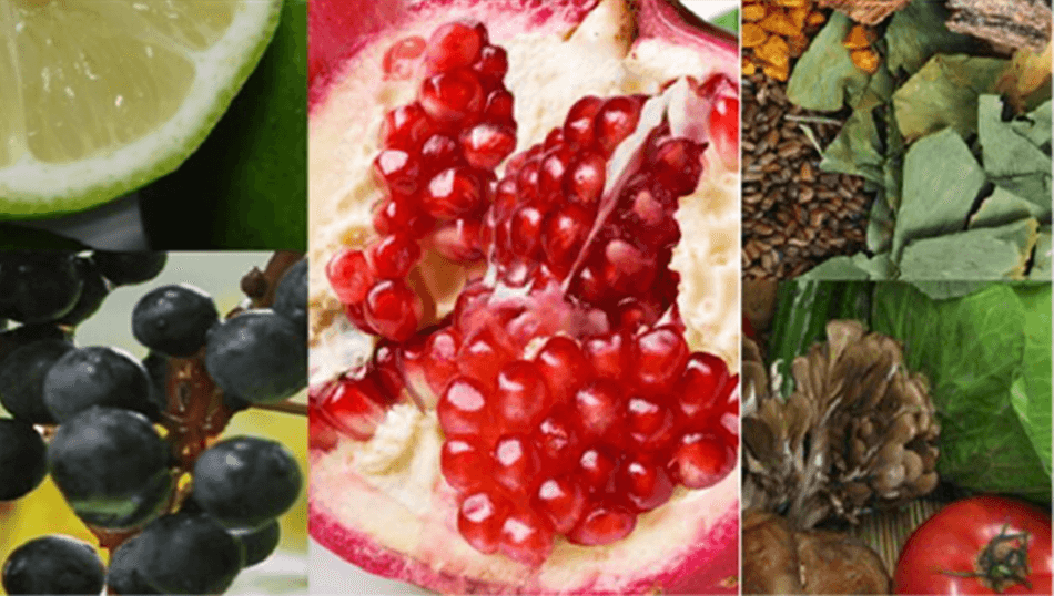 栄養豊富な原材料61種の調和
