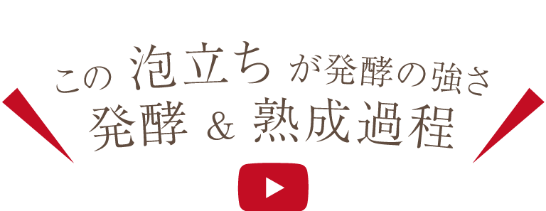 この泡立ちが発酵の強さ　発酵&熟成過程