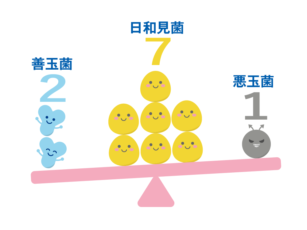 善玉菌、日和見菌、悪玉菌