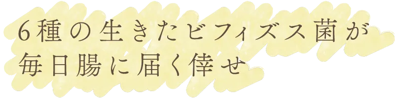 ６種の生きたビフィズス菌が毎日腸に届く倖せ