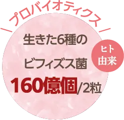 プロバイオティクス：生きた6種のヒト由来ビフィズス菌160億個/2粒