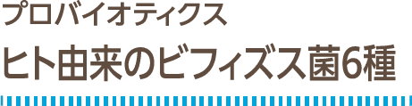 プロバイオティクス：ヒト由来のビフィズス菌6種