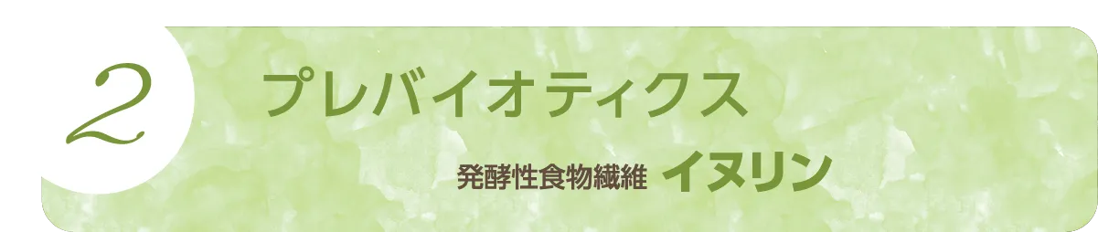 2.プレバイオティクス：発酵性食物繊維イヌリン