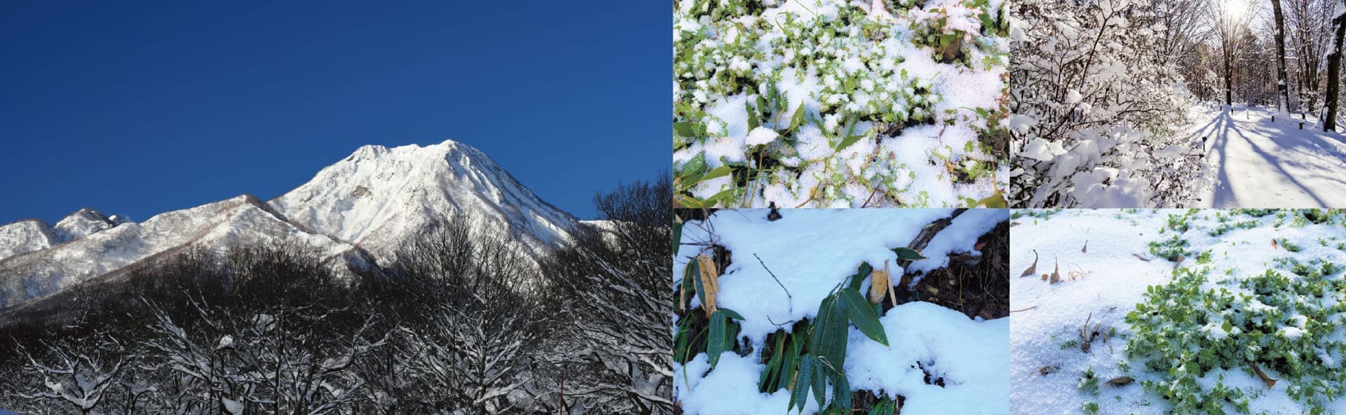 妙高山