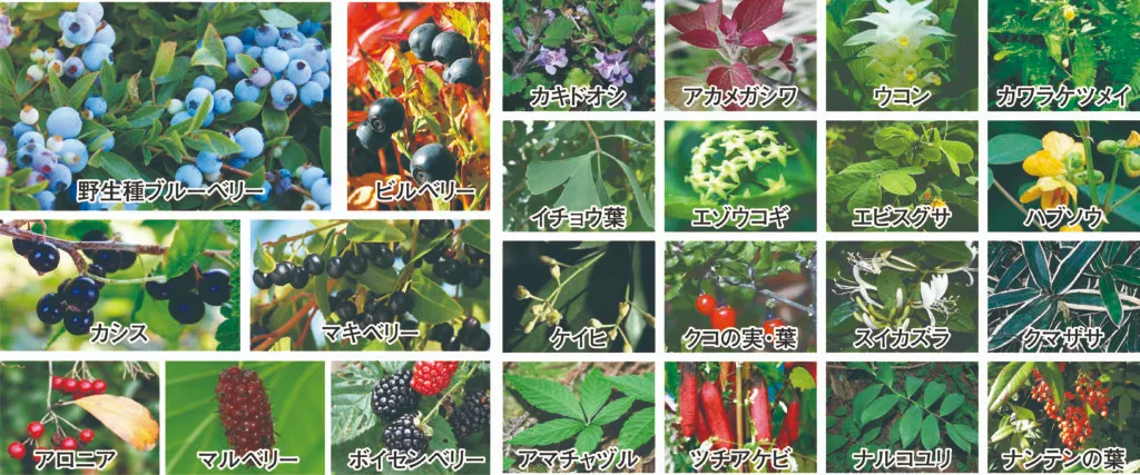 原材料一部