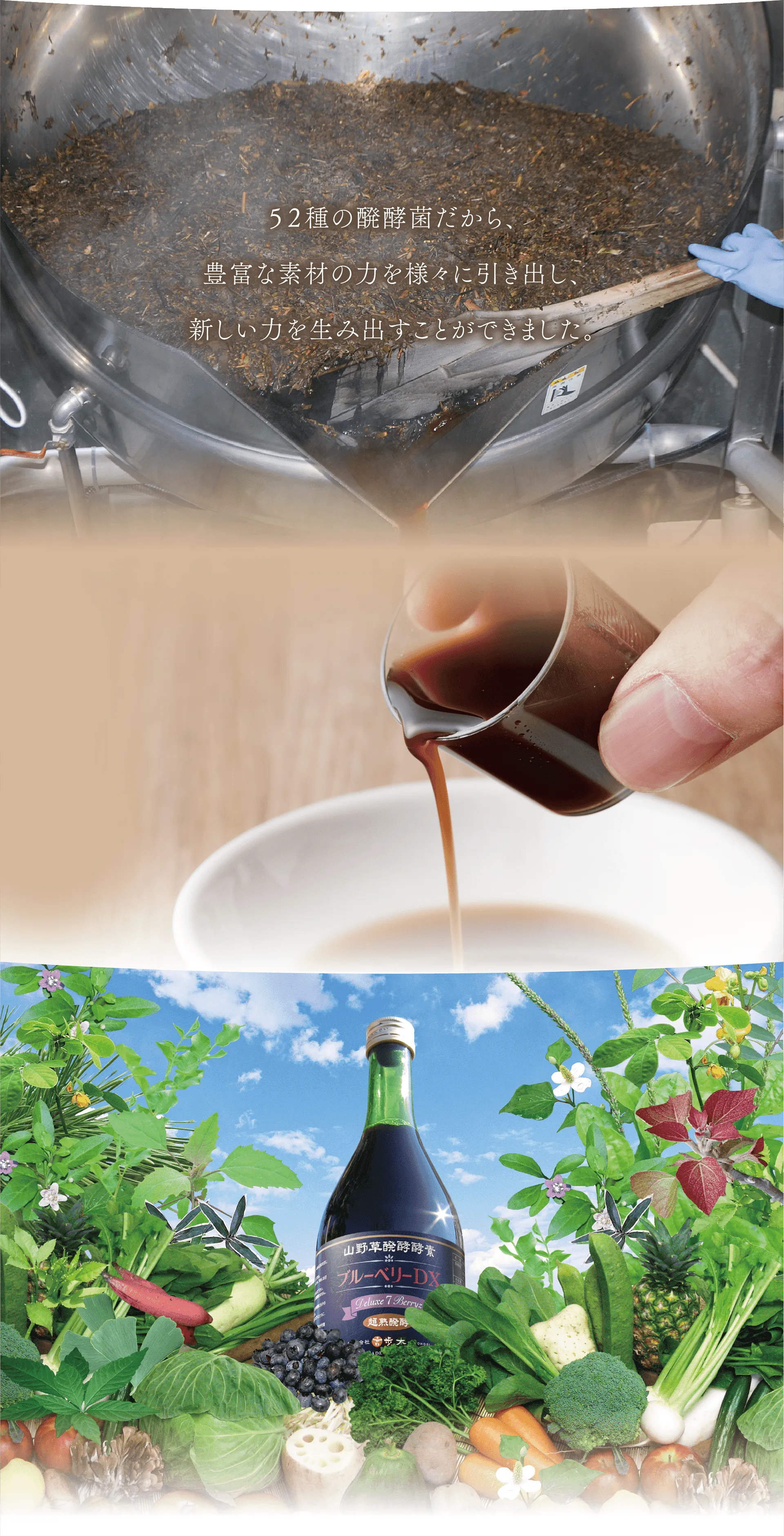 52種の醗酵菌だから、豊富な素材の力を様々に引き出し、新しい力を生み出すことができました。