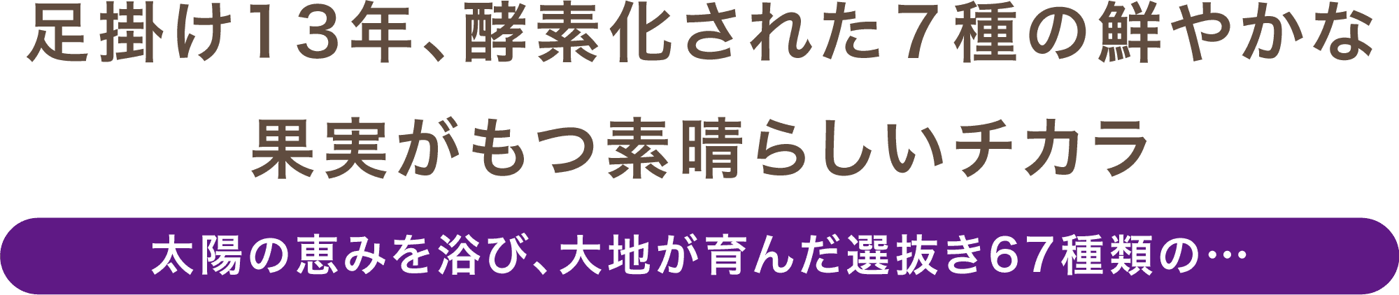 足掛け13年、酵素化された7種の鮮やかな果実がもつ素晴らしいチカラ。太陽の恵みを浴び、大地が育んだ選抜き67種類の…