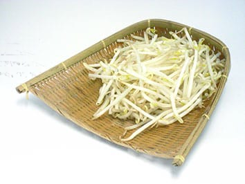 モヤシ