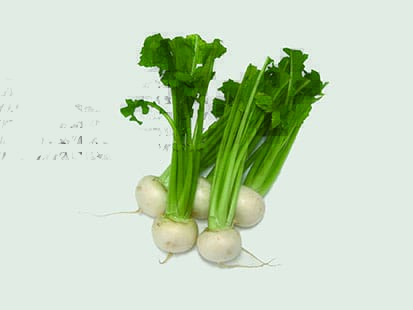 カブ