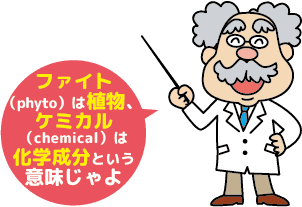 ファイト(phyto)は植物、ケミカル(chemical)は化学成分という意味じゃよ