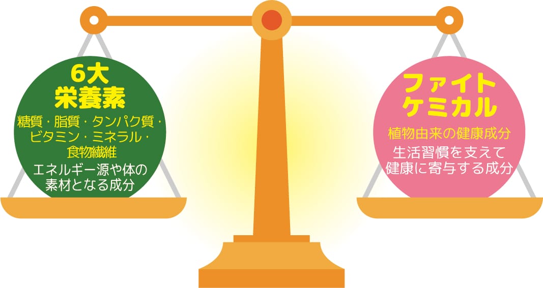 6大栄養素:糖質・脂質・タンパク質・ビタミン・ミネラル・食物繊維(エネルギー源や体の素材となる成分)ファイトケミカル:植物由来の健康成分(生活習慣を支えて健康に寄与する成分)
