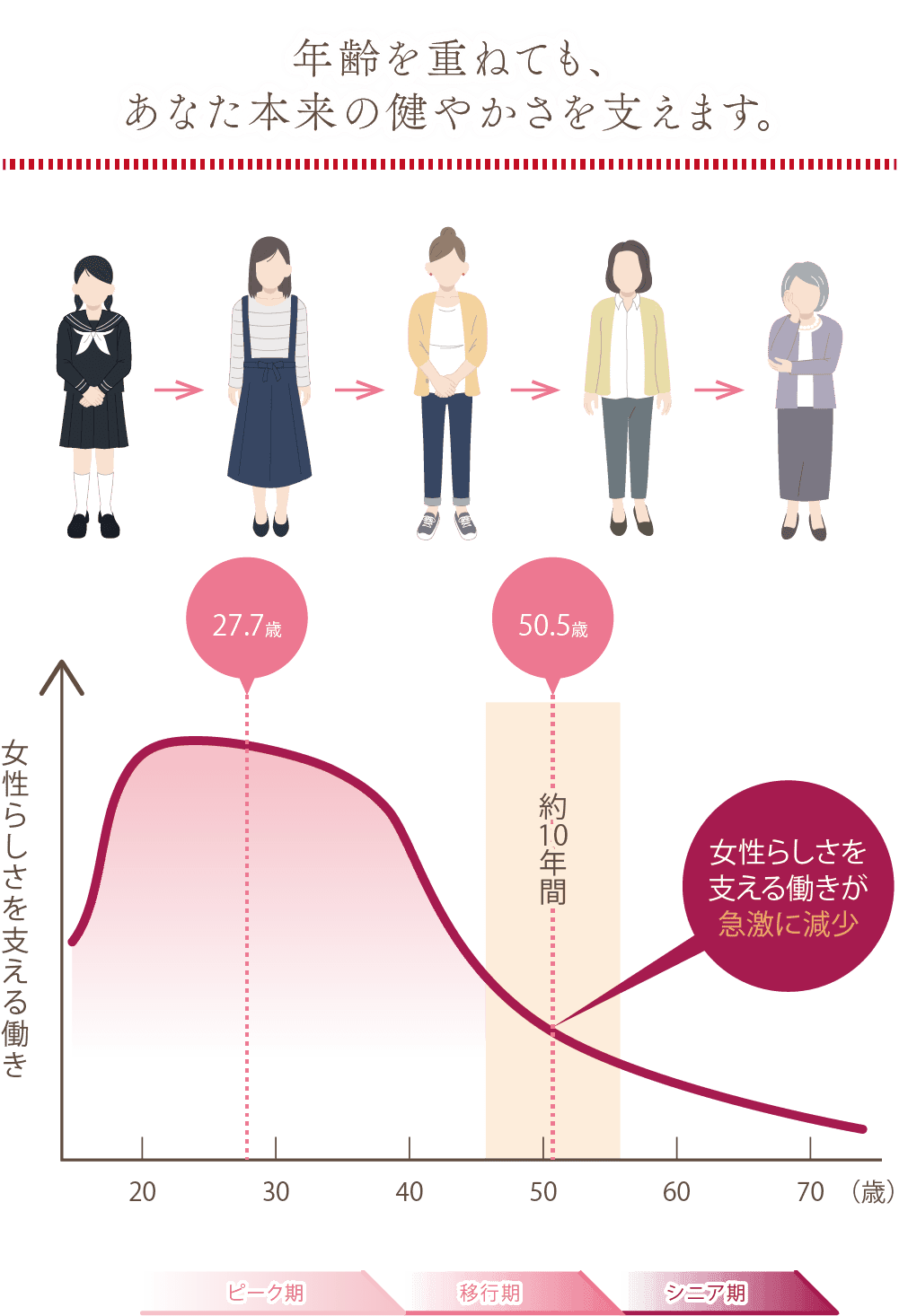 年齢を重ねても、あなた本来の健やかさを支えます。
ピーク期(27.7歳)→移行期(50.5歳)→シニア期。女性らしさを支える働きが急激に減少