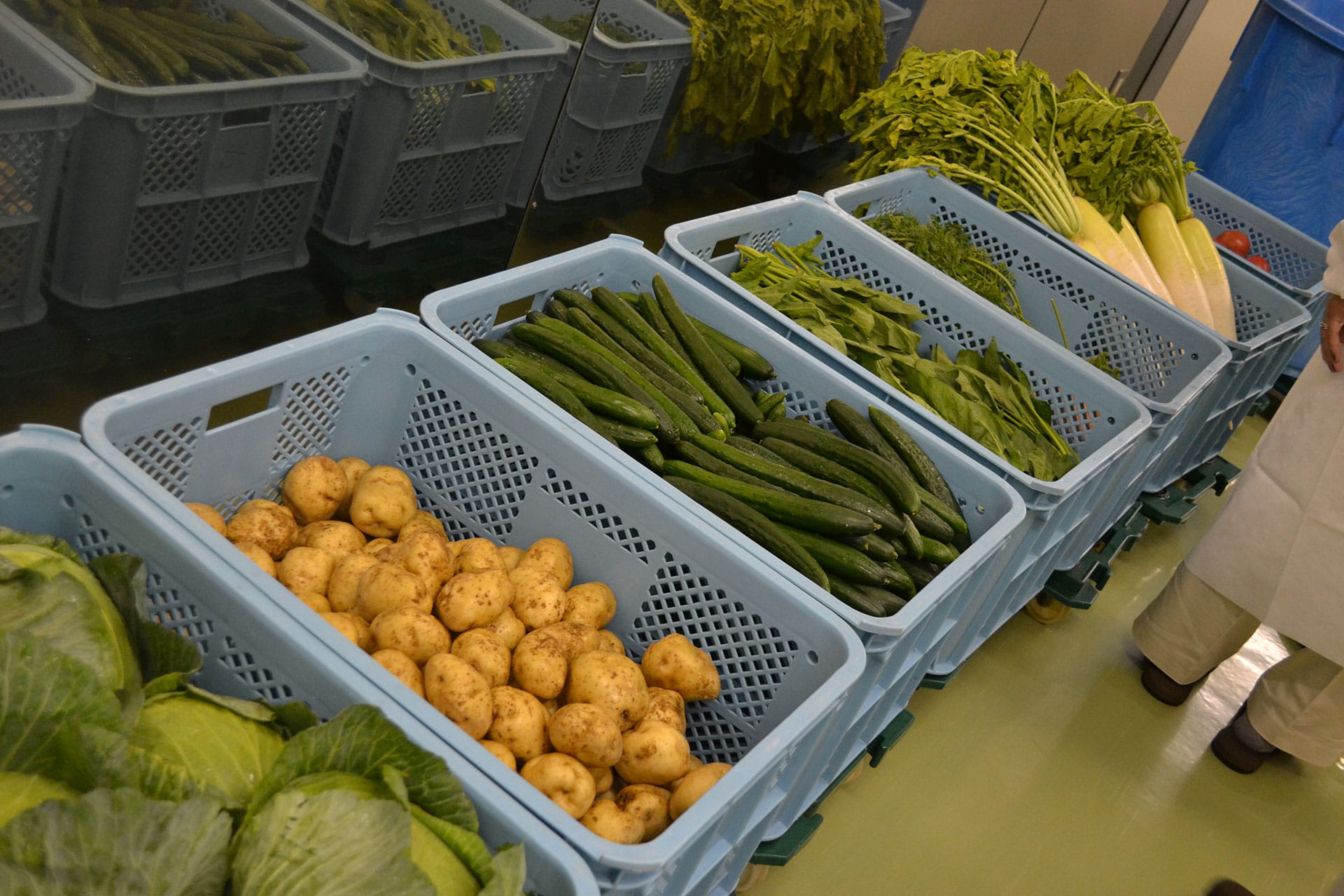 農法にもこだわった野菜や果物を手作業で採取